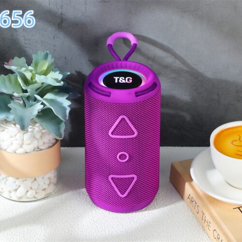 TG656  BT V5.3 16W TF Card Outdoor Wireless Speaker